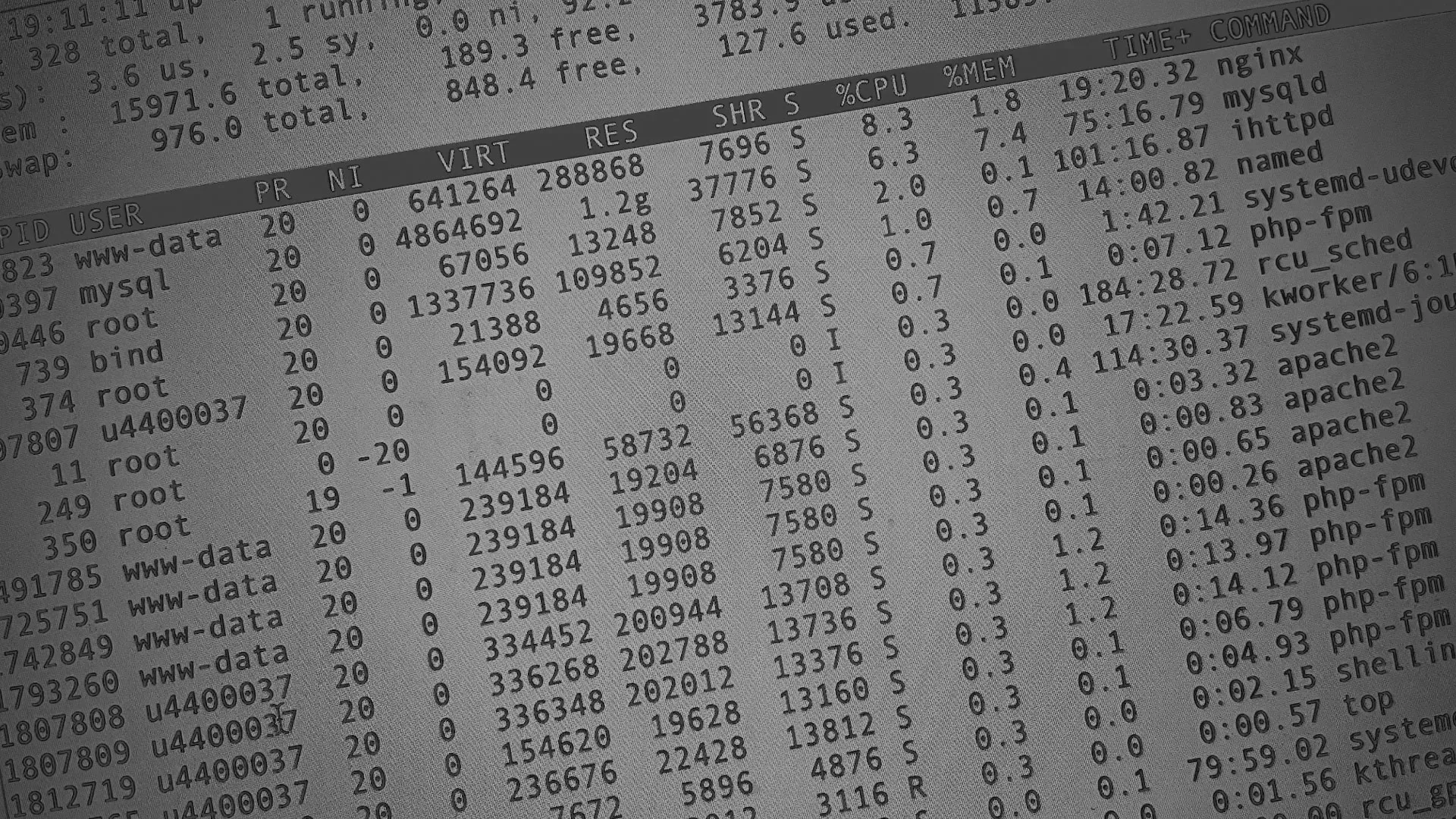Настройка сервера в Лосино-Петровске Настройка сервера в Лосино-Петровске