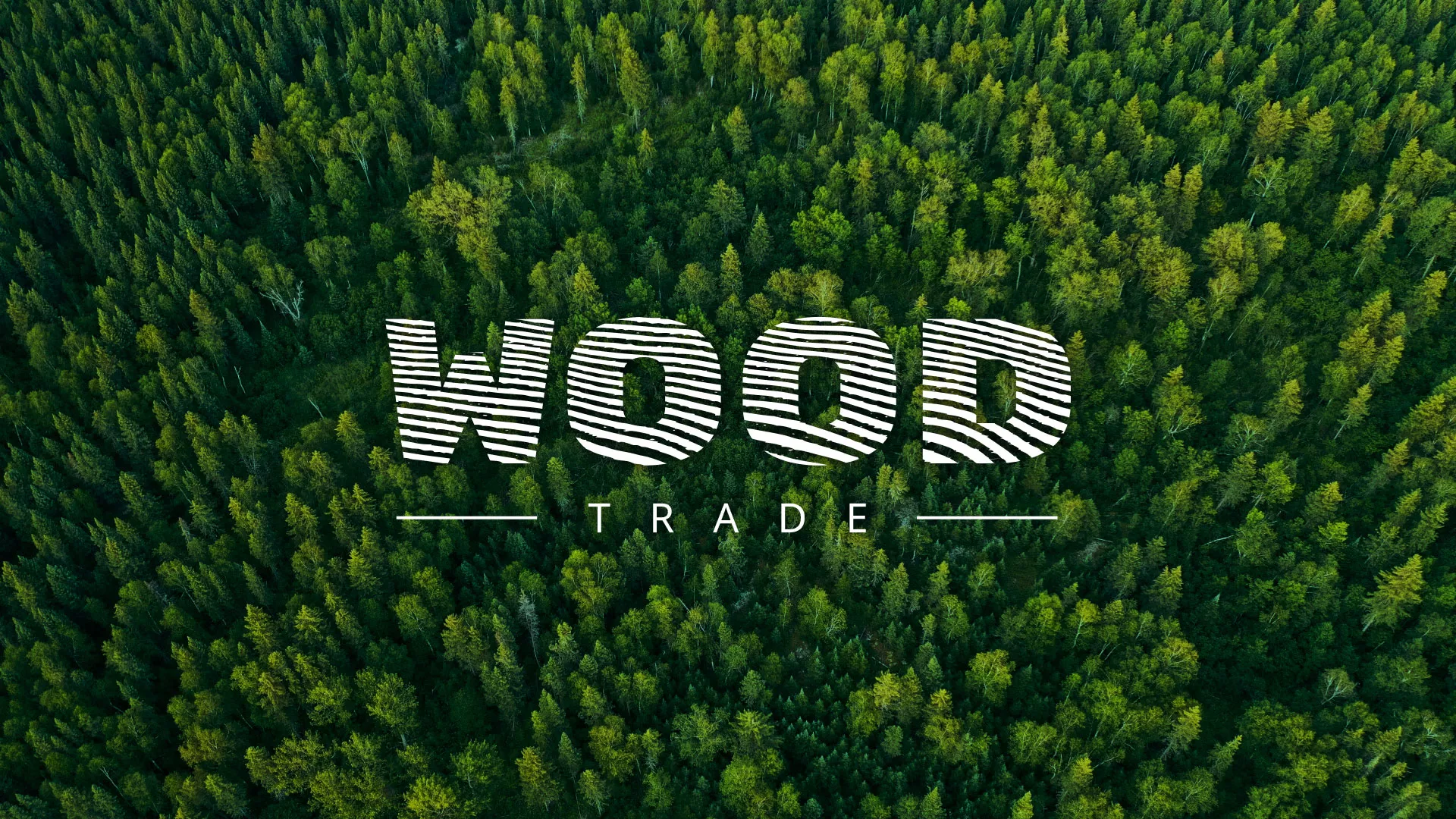 Разработка интернет-магазина компании «Wood Trade» в Лосино-Петровске