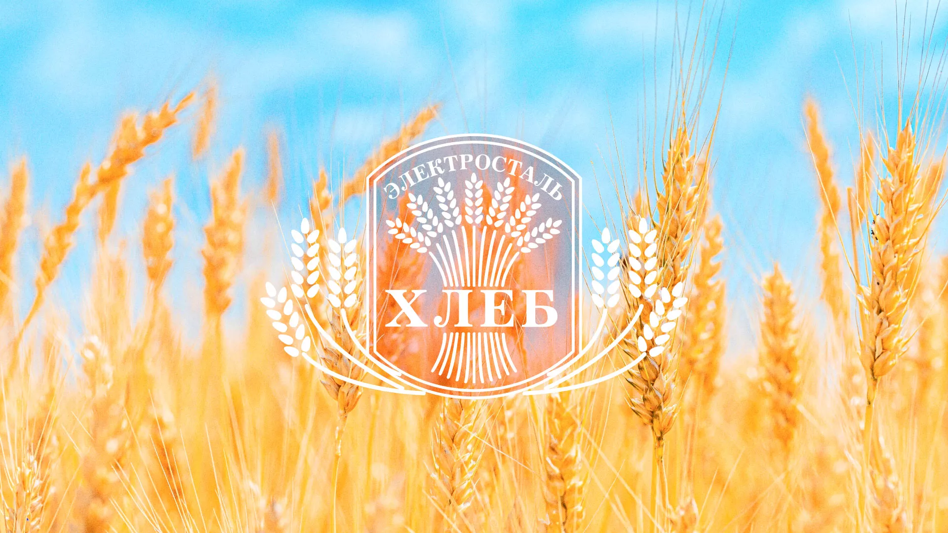 Создание сайта для хлебзавода в Лосино-Петровске