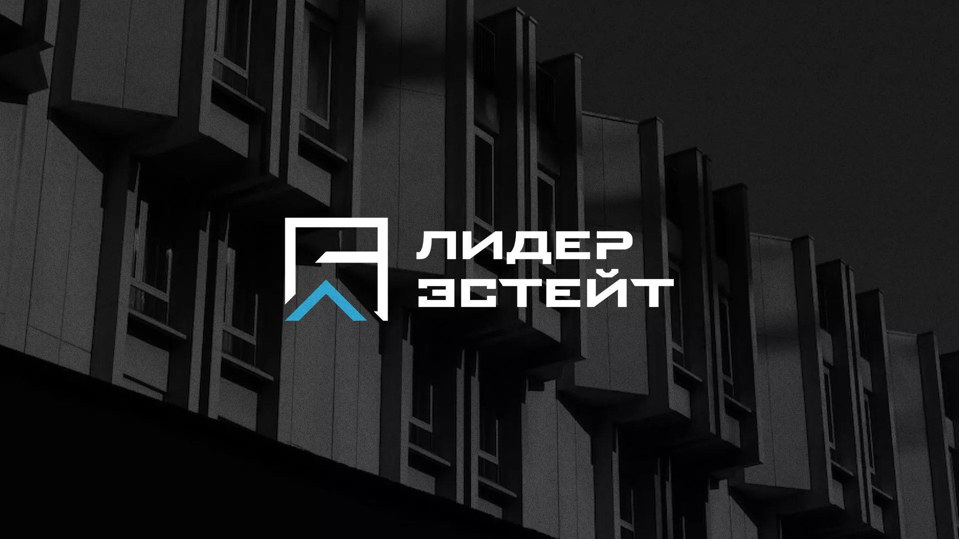 Разработка логотипа агентства недвижимости «Лидер Эстейт» в Лосино-Петровске